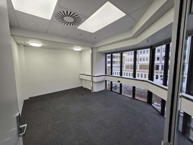 Level 4, 117 Lambton Quay Wellington Central_3