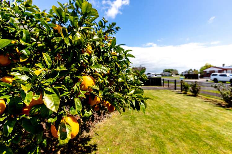 12 Shoalhaven Street Paeroa_9