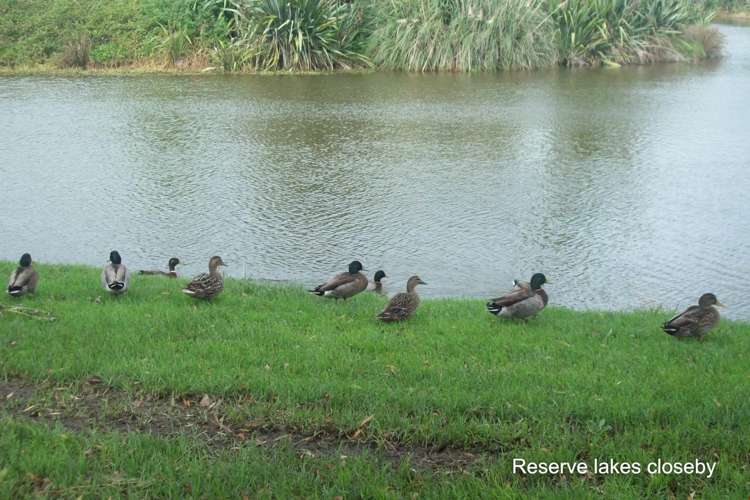 29 Stranraer Crescent Wattle Downs_18