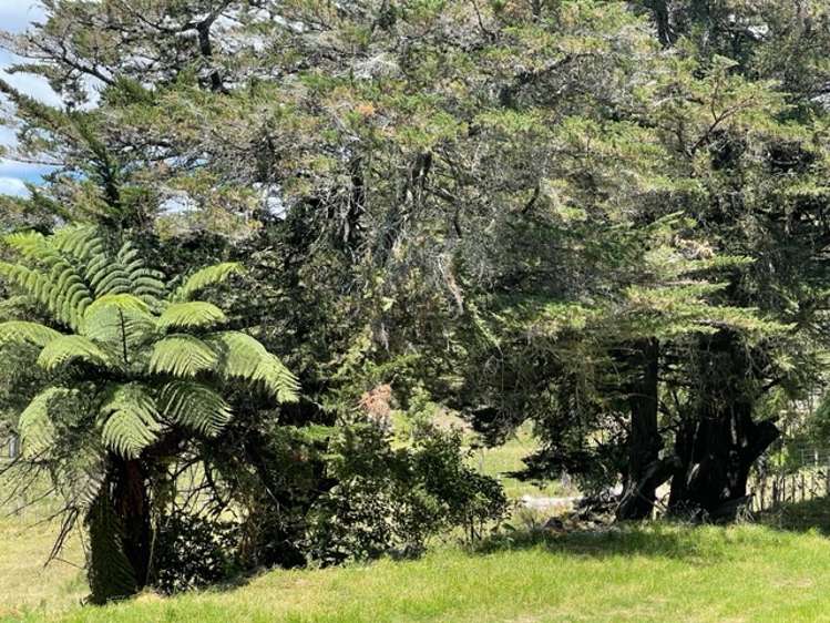 500 Reid Road Papamoa_26