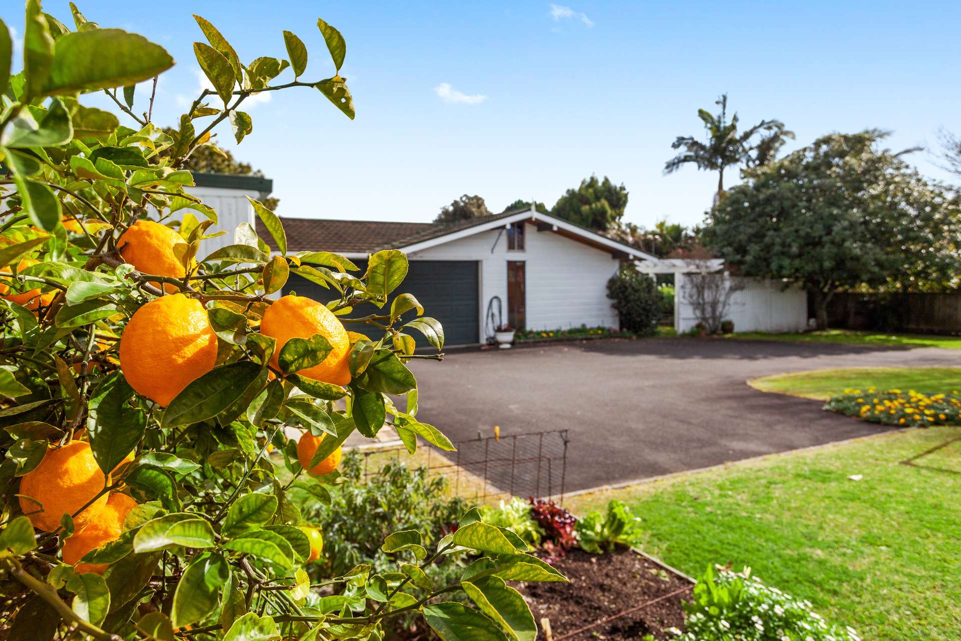 5a Pouwhare Street Whakatane_0