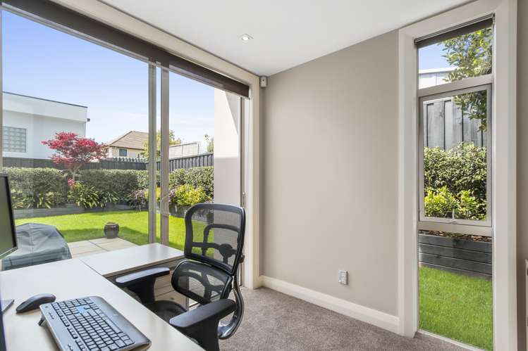 148a Selwyn Avenue Mission Bay_11