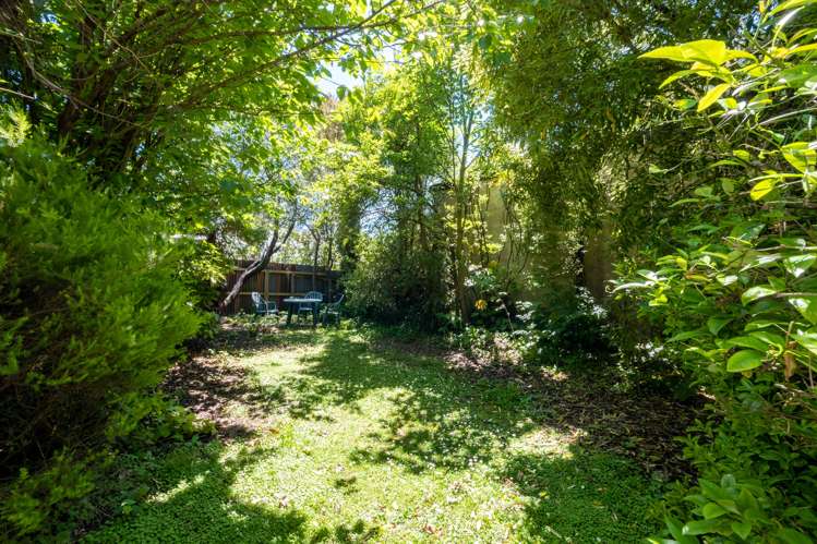 10 Shelley Street Sydenham_20