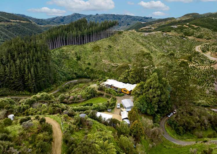 101b Bulls Run Road Moonshine Valley_19