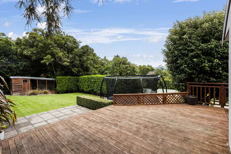 50 Every Street Andersons Bay_23