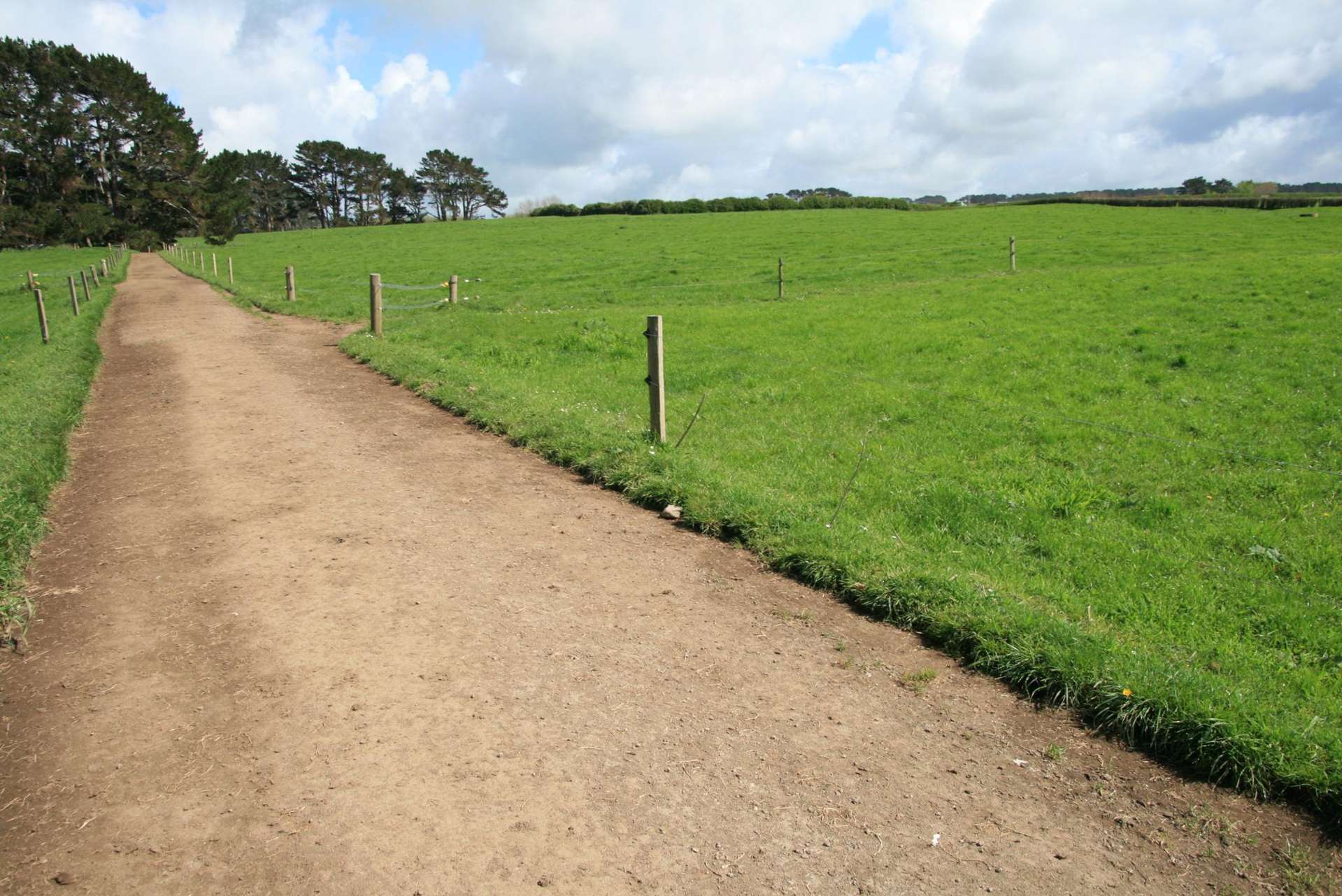 297 Mangawhero Road Auroa_0