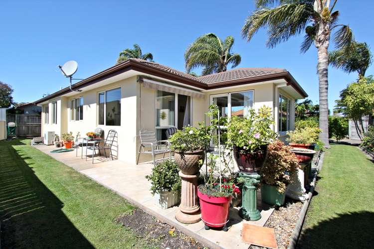 27a Pembroke Street Taradale_6