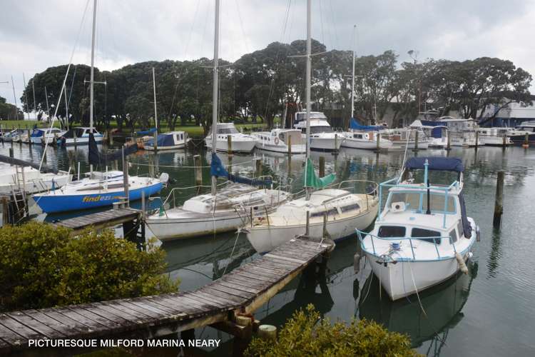 3/15 Omana Road Milford_24