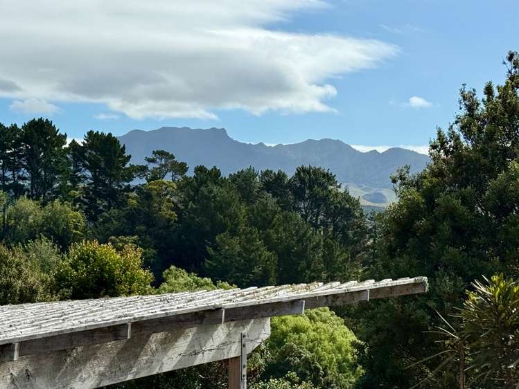 64 Hills Road Raglan_43