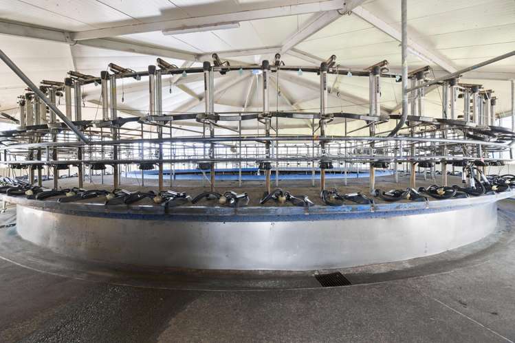 519 Main South Road Rangiwahia_12