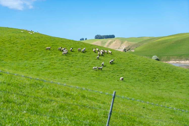 Lot 4 Palmerston-Waikouaiti Road Waikouaiti_8