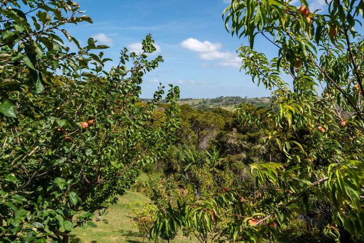 205 Takahoa Drive Kaiwaka_23