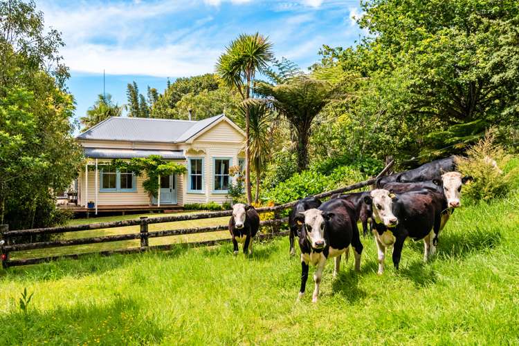 144 Waipoka Road Kiripaka_30