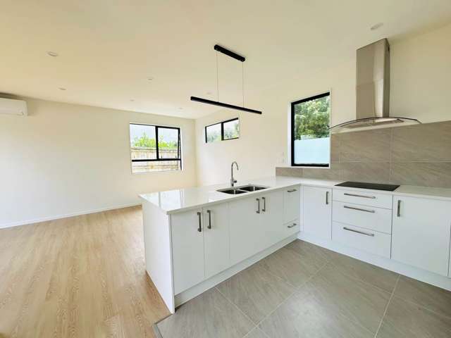 6A Cleghorn Avenue Mt Roskill_3
