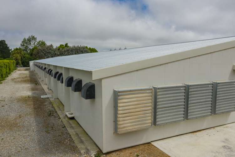 273 Lilly Road Fernside_10