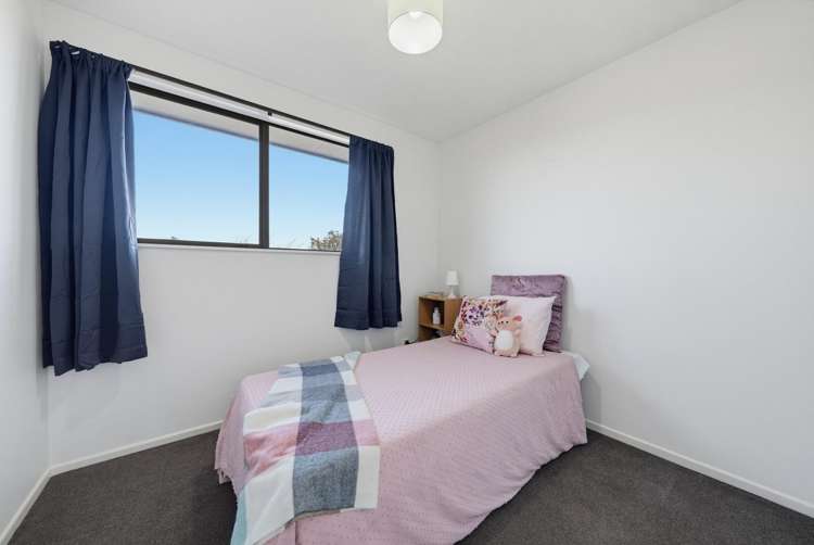 15 Lowry Avenue Redwood_8