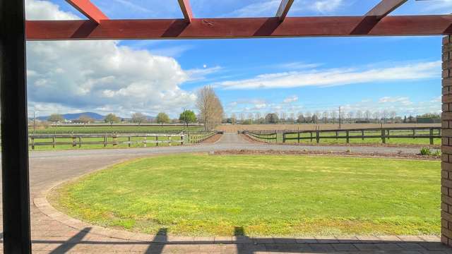 151 Banks Road Matamata_1