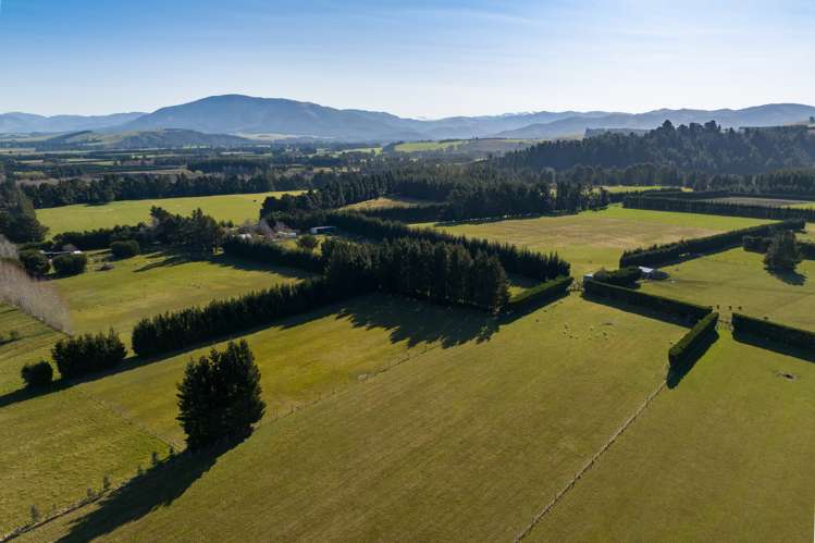 377 Loburn Terrace Road Loburn_19