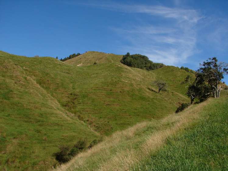 839 Ruatiti Road Raetihi_7