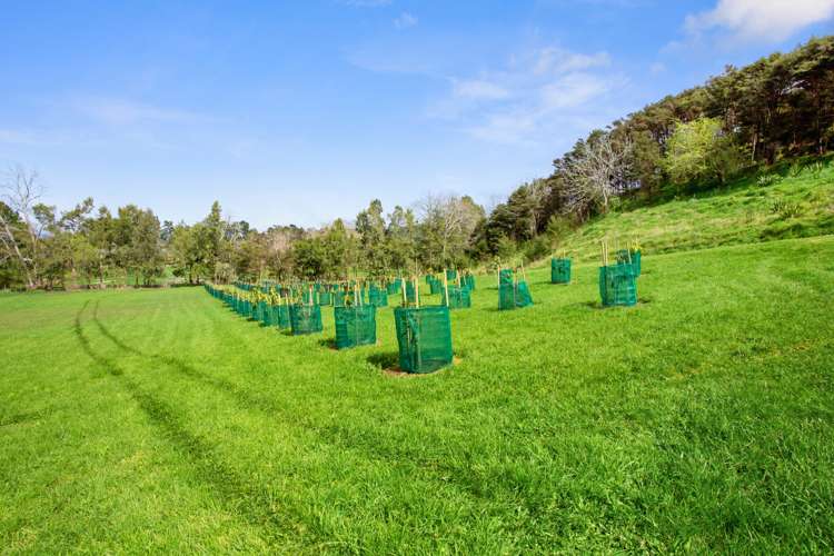 787 State highway 2 Wairoa_16