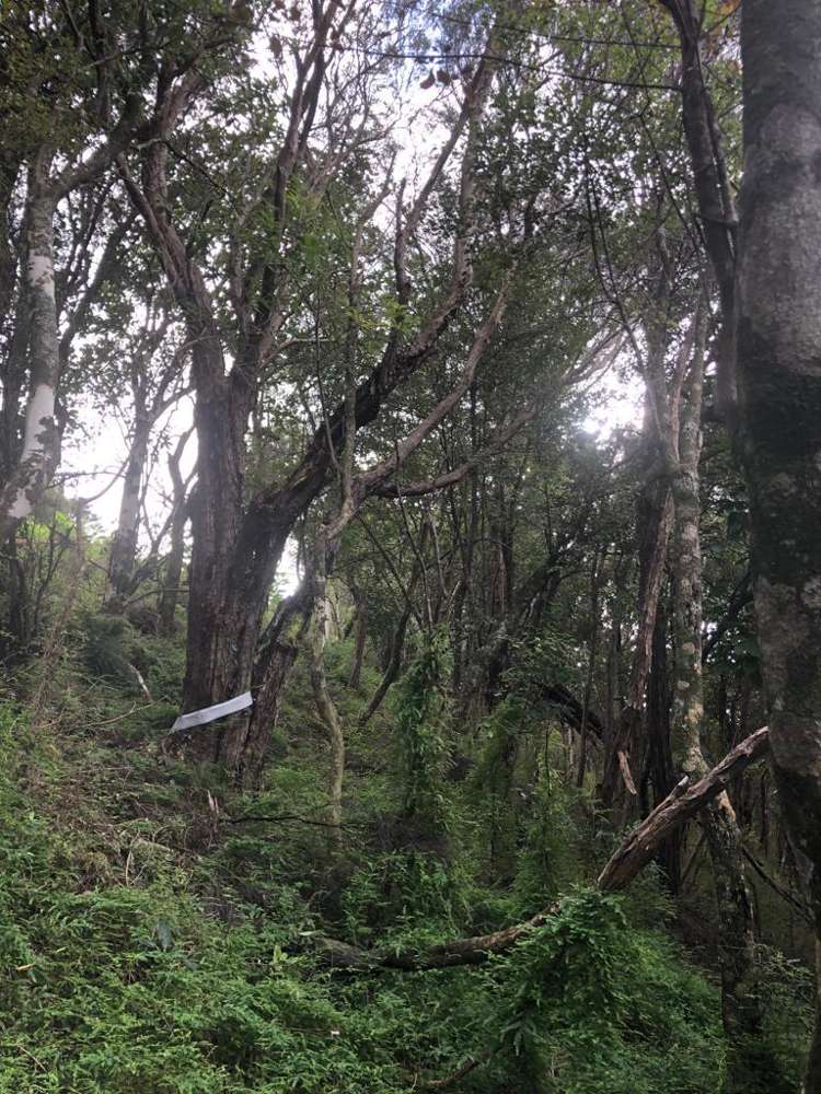 12 Beresford Avenue Surfdale_10