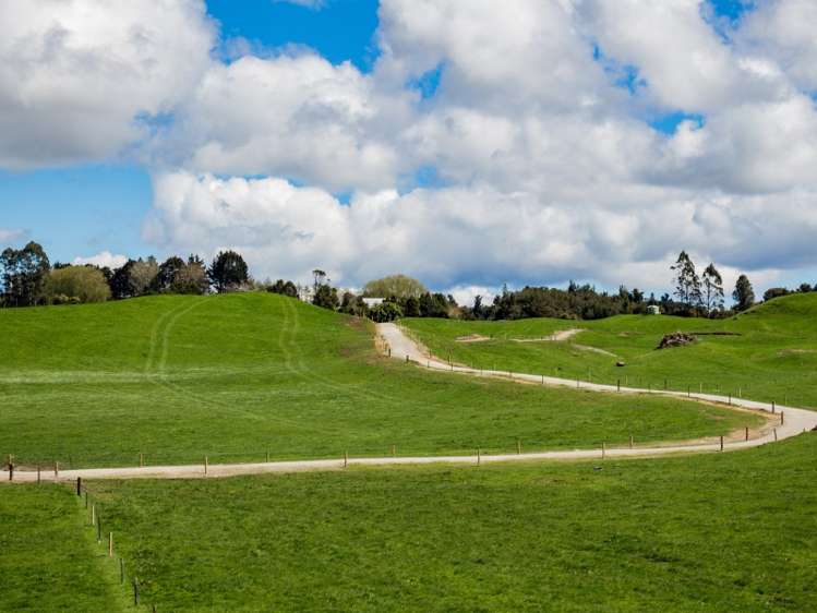 506 Tauranga Direct Road Hamurana_5