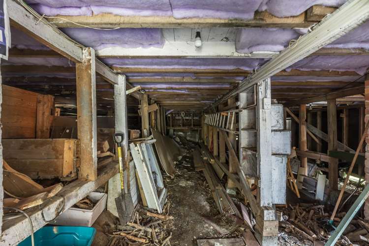 3 Matai Road Hataitai_18