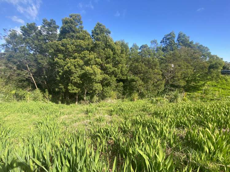 18 Paradise Road Coopers Beach_11