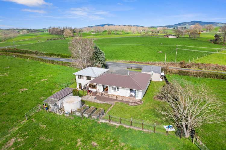 1687 Morrinsville-Walton Road Richmond Downs_13
