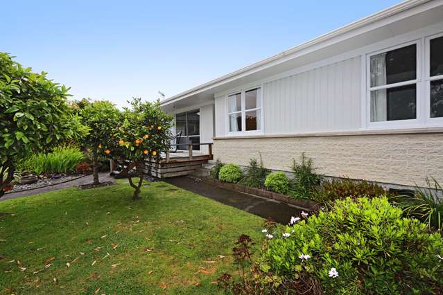 32 Plunket Street Tamatea_1