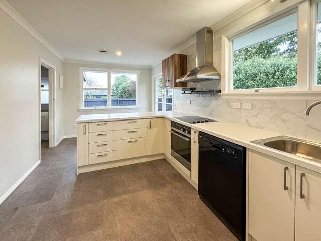 4 Elizabeth Street Rolleston_2