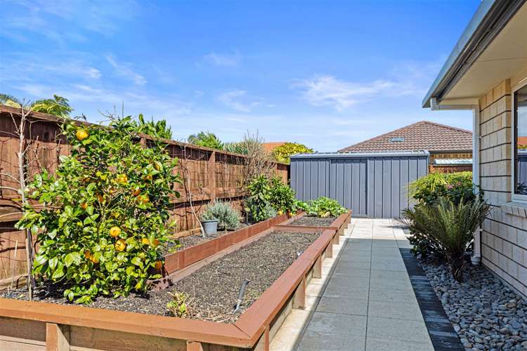 6 Rota Close Papamoa_16