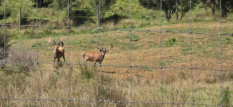 2109 Okau Road Ahititi_21