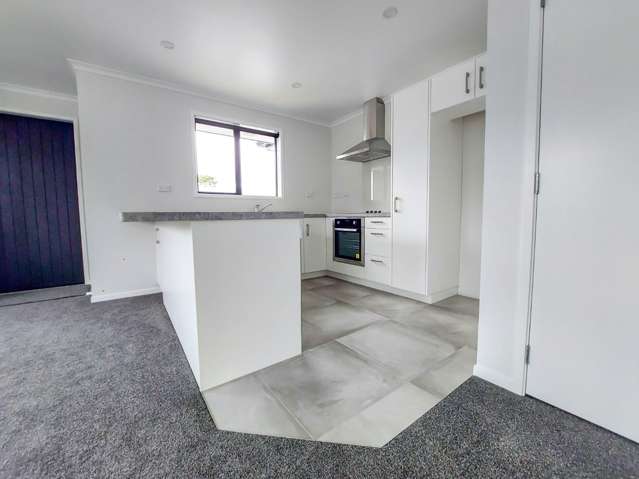 117A Great South Road 11337_3