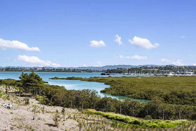 13/10 Ngaroma House Drive Hobsonville_19