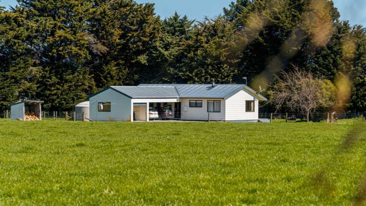 1972 Lake Ferry Road Pirinoa_13