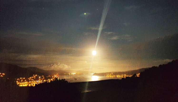 327 Highcliff Road Highcliff_7