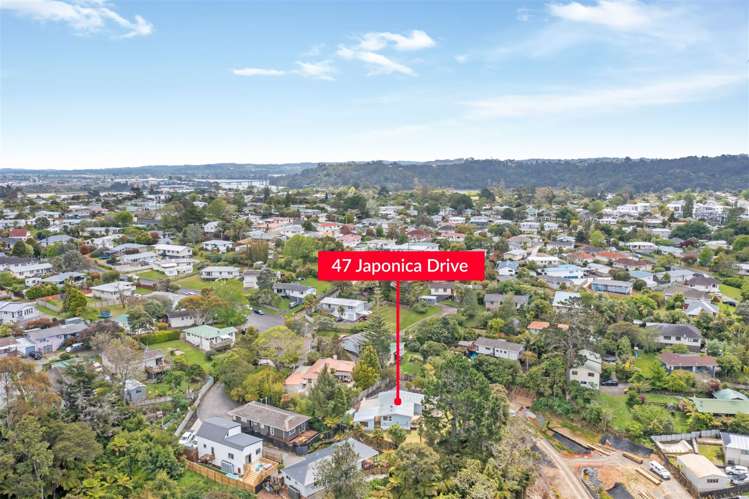 47 Japonica Drive Beach Haven_28