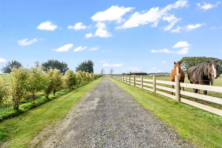 390 Mill Road North Myross Bush_32