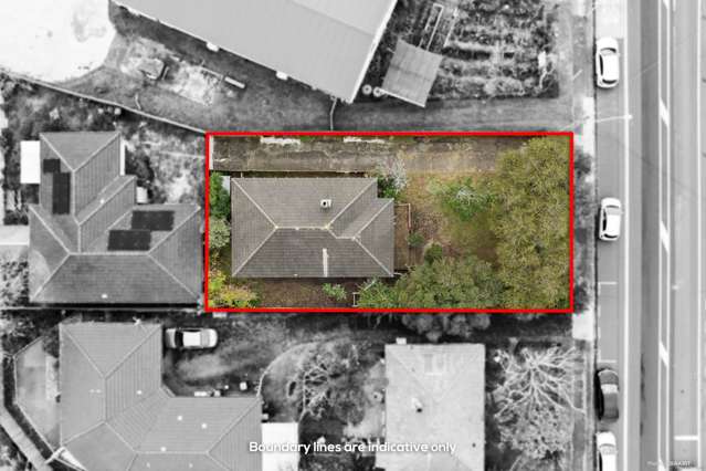 1209 Dominion Road Mount Roskill_1