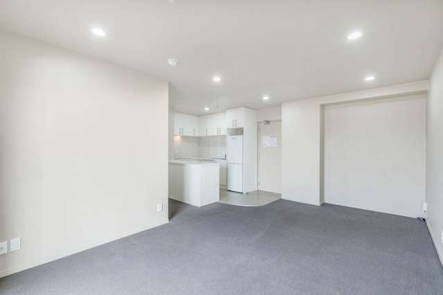 2o/10 Crown Lynn Place New Lynn_2