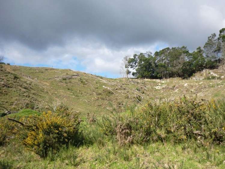 17 Factory Lane Hikurangi_5