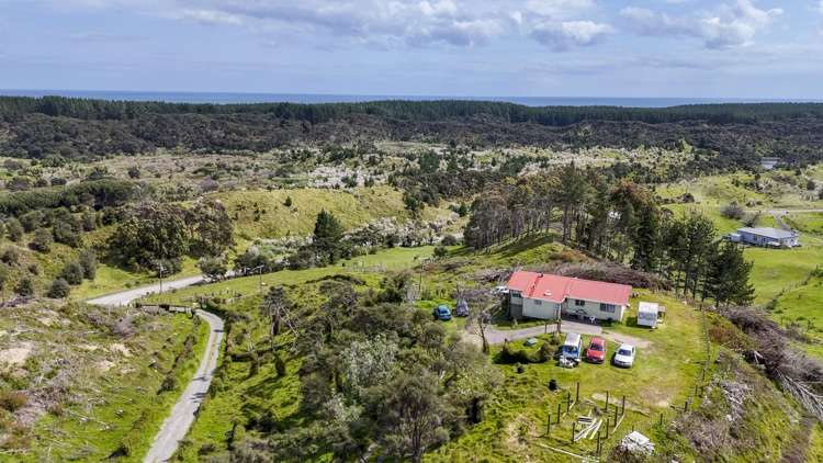 639 Wilson Road, South Head Helensville_5