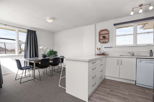 144 Grove Street Tinwald_2