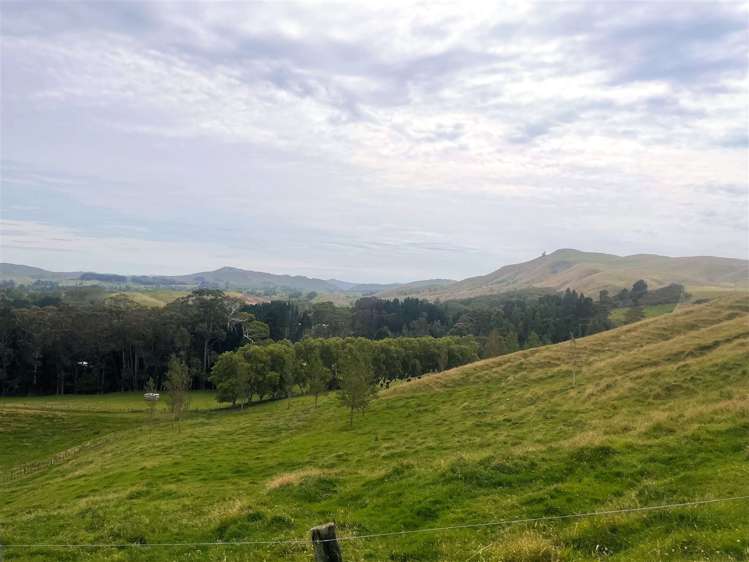 2580 Pourerere Road Central Hawkes Bay Coastal_35