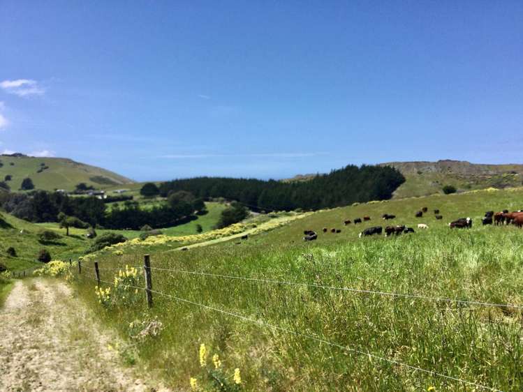 310 Blackhead Road Blackhead_2