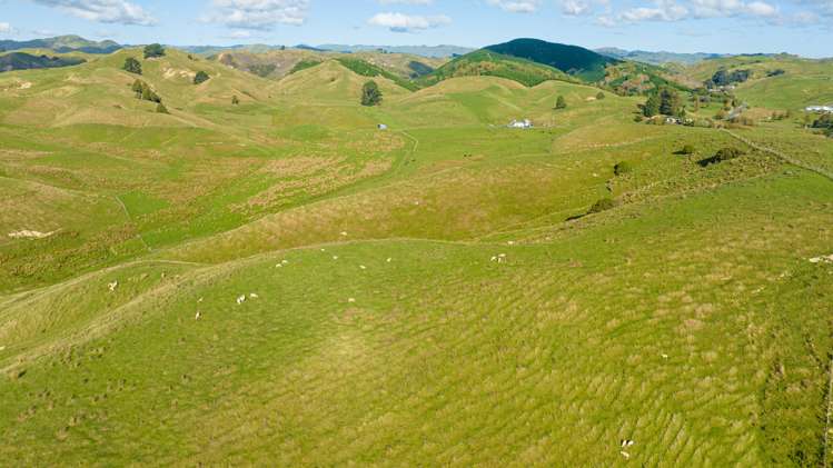 Kaitawa Road Pahiatua_11