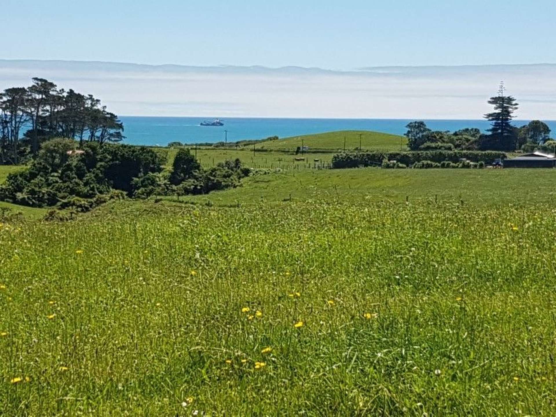 80 Koru Road Omata_0