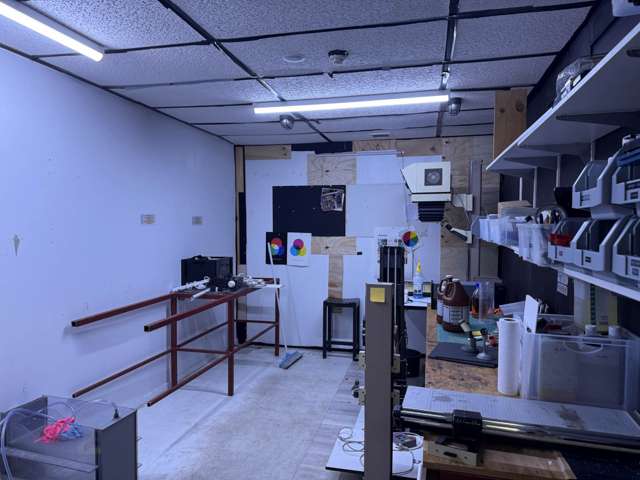 127 Newton Road Eden Terrace_4