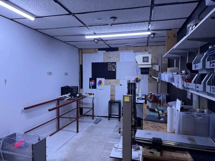 127 Newton Road Eden Terrace_4